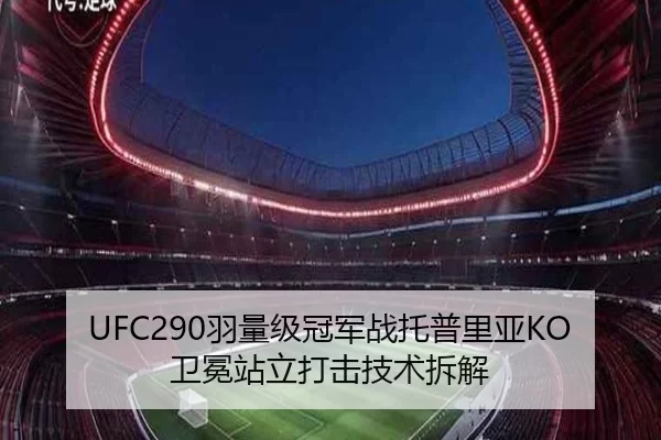 UFC290羽量级冠军战托普里亚KO卫冕站立打击技术拆解